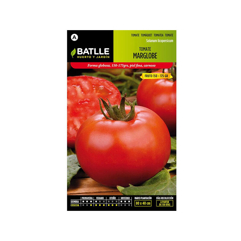 

Plantawa Semillas de Tomate Marglobe 1 gr para Siembra Primavera Hortaliza para Cultivar - Battle