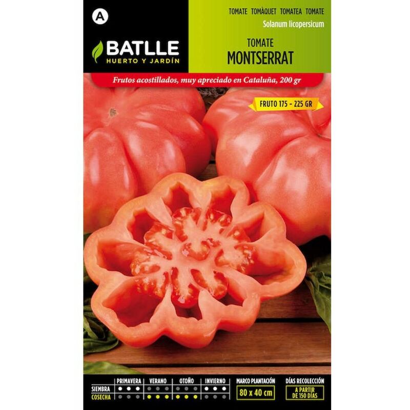 

Plantawa Semillas de Tomate Montserrat 1 gr para Siembra Invierno Primavera Hortaliza para Cultivar - Battle