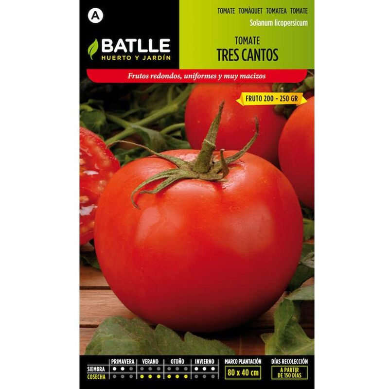 

Plantawa Semillas de Tomate Tres Cantos 2.5 gr para Siembra Primavera Invierno Hortaliza para Cultivar - Battle
