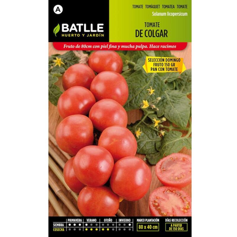 

Plantawa Semillas de Tomate de Colgar 1 gr para Siembra Primavera Hortaliza para Cultivar - Battle