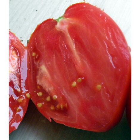 Semillas de Tomate Coraz�n de Buey. 10 Gramos