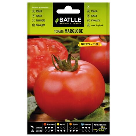 Semillas de Tomate Marglobe sobre