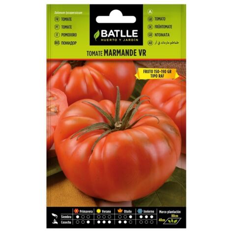 Semillas de Tomate Marmande Vr Holanda sobre