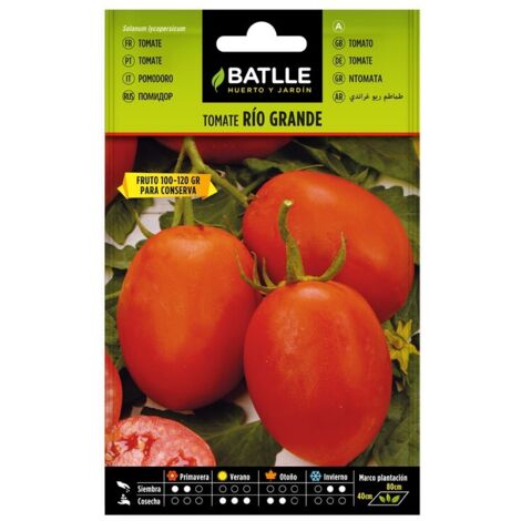 Semillas de Tomate Rio Grande sobre
