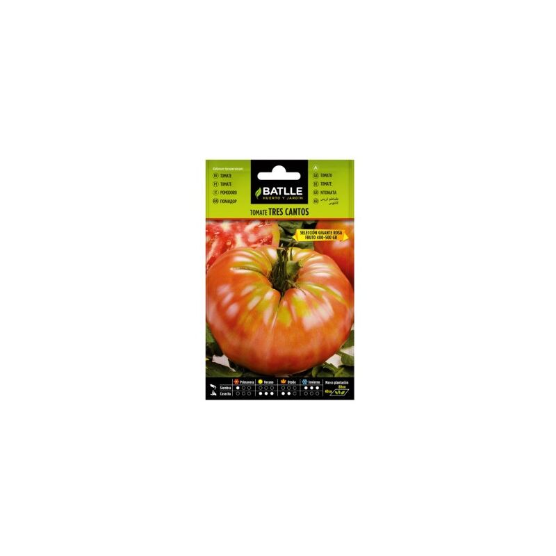 

Semillas de Tomate Tres Cantos sel. Gigante Rosa