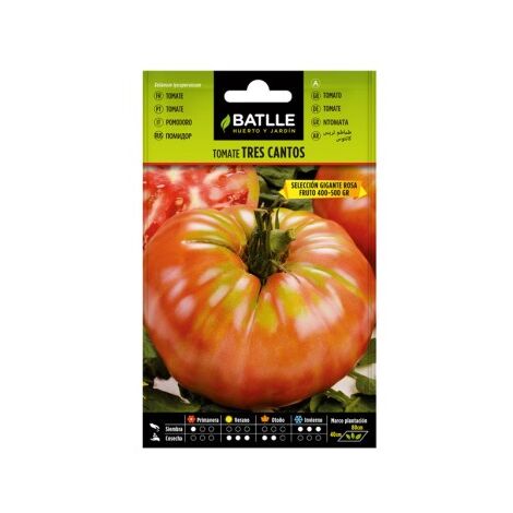 Semillas de Tomate Tres Cantos sel. Gigante Rosa
