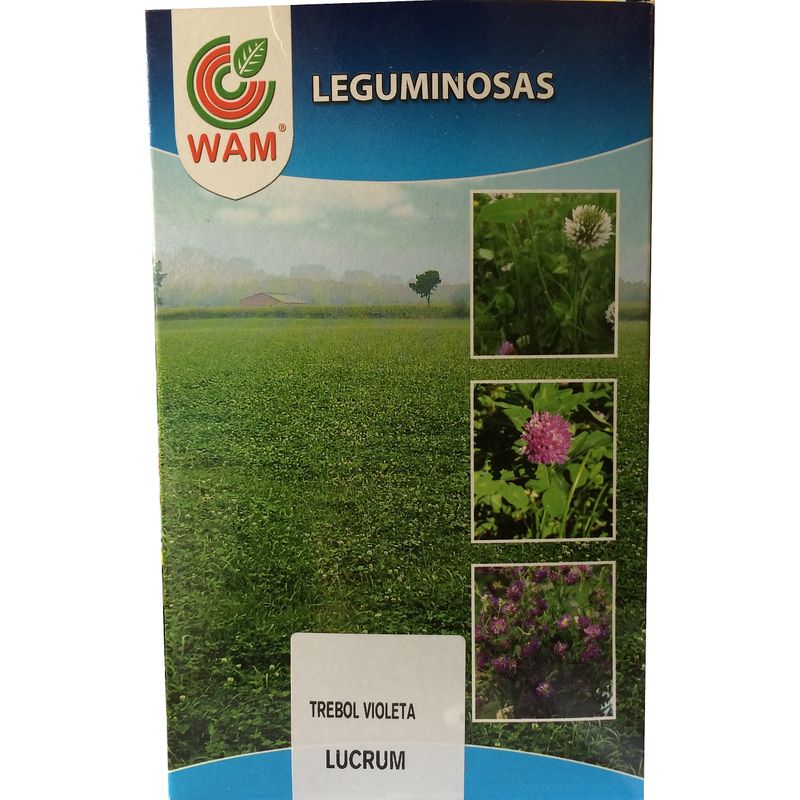 

Semillas de Trébol Violeta Lucrum - 1 kg