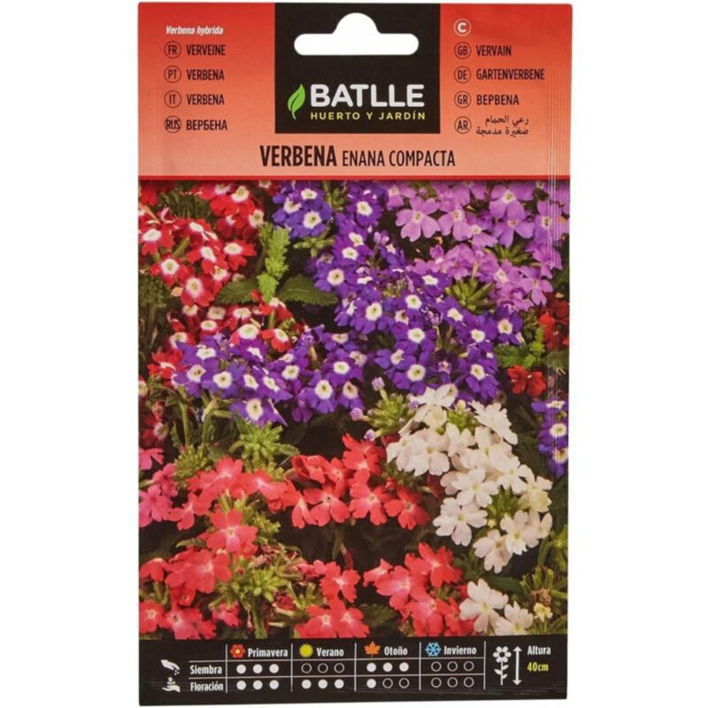 

Semillas de Verbena enana compacta