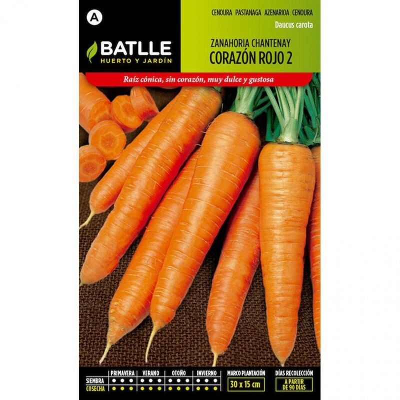 

Plantawa Semillas de Zanahoria Chatenay Corazón Rojo 2 10 gr para Siembra Anual Hortaliza para Cultivar - Battle