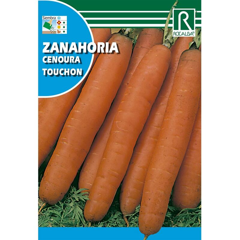 

Semillas de Zanahoria touchon