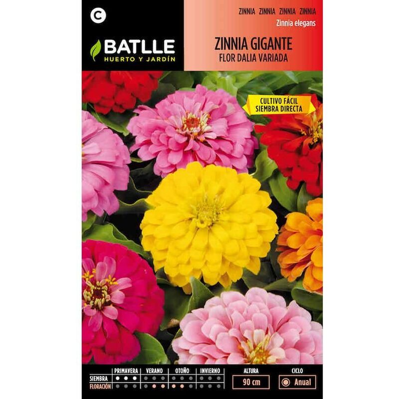 

Semillas de Zinnia gigante flor Dalia variada