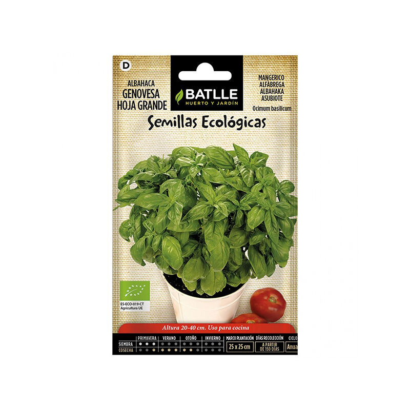

Plantawa Semillas Ecológicas de Albahaca Genovesa Hoja Grande para Siembra Primavera Aromática para Cultivar - Battle