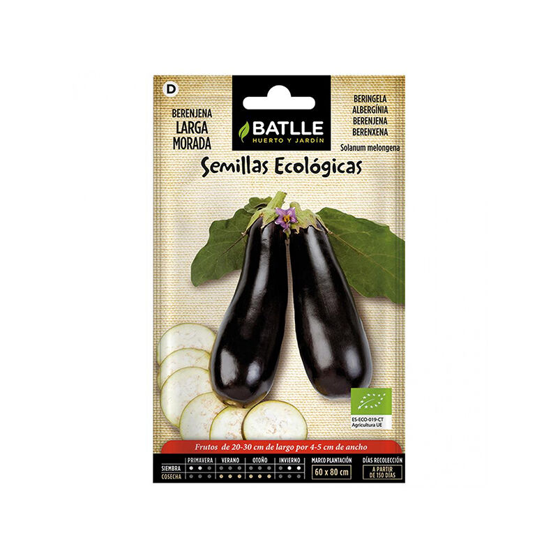 

Plantawa Semillas Ecológicas de Berenjena Larga Morada para Siembra Diciembre Hortaliza para Cultivar - Battle