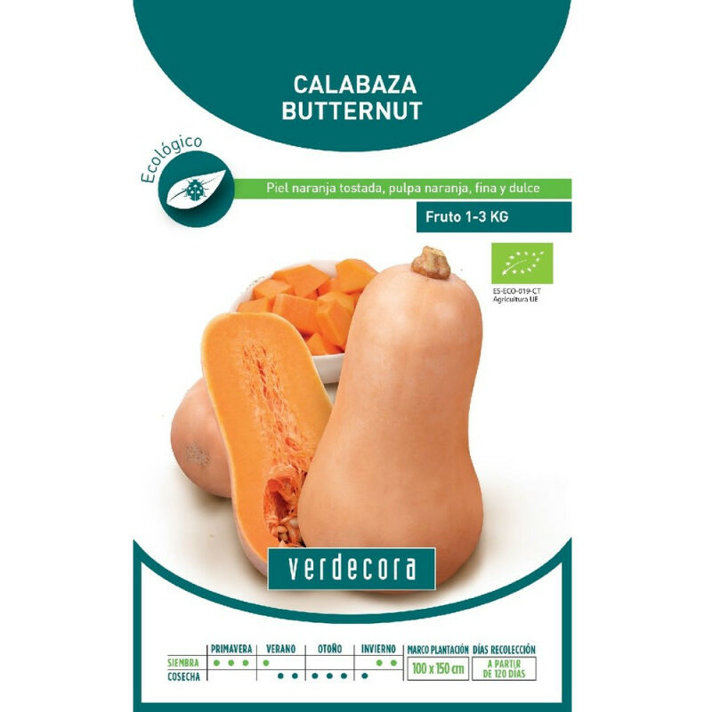 

SEMILLAS ECOLOGICAS CALABAZA BUTTERNUT - Verdecora