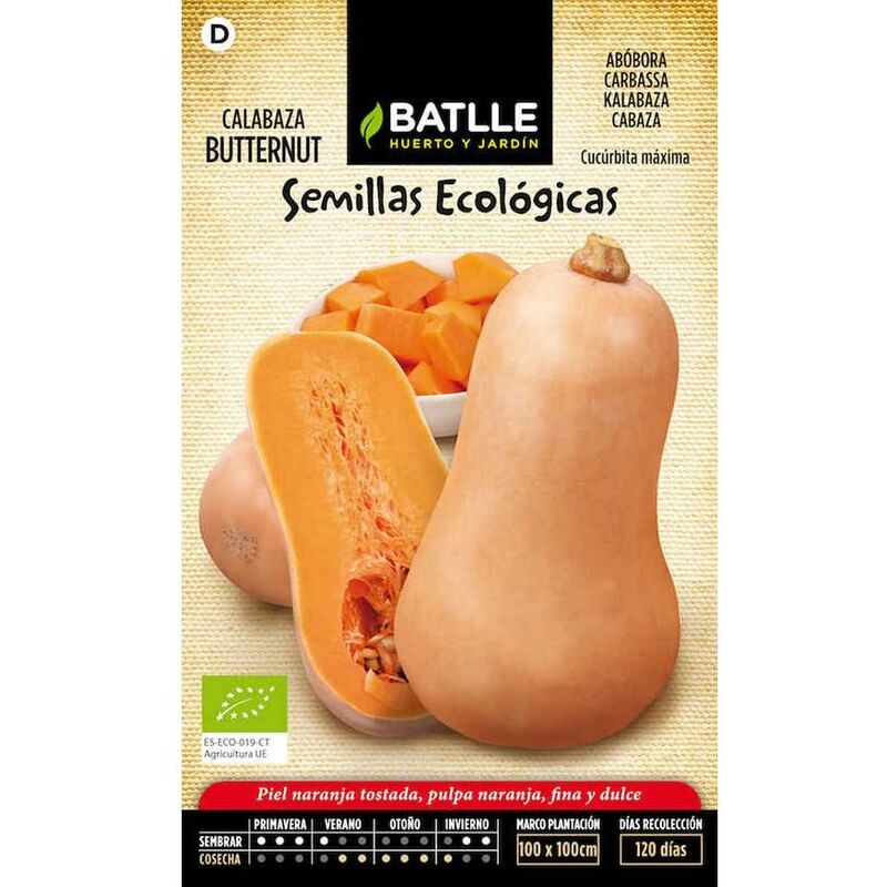 

Semillas ecológicas de Calabaza butternut