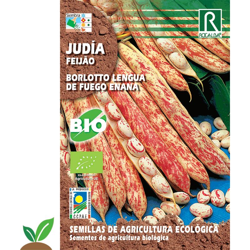 

Judia Borlotto Lengua De Fuego Eco