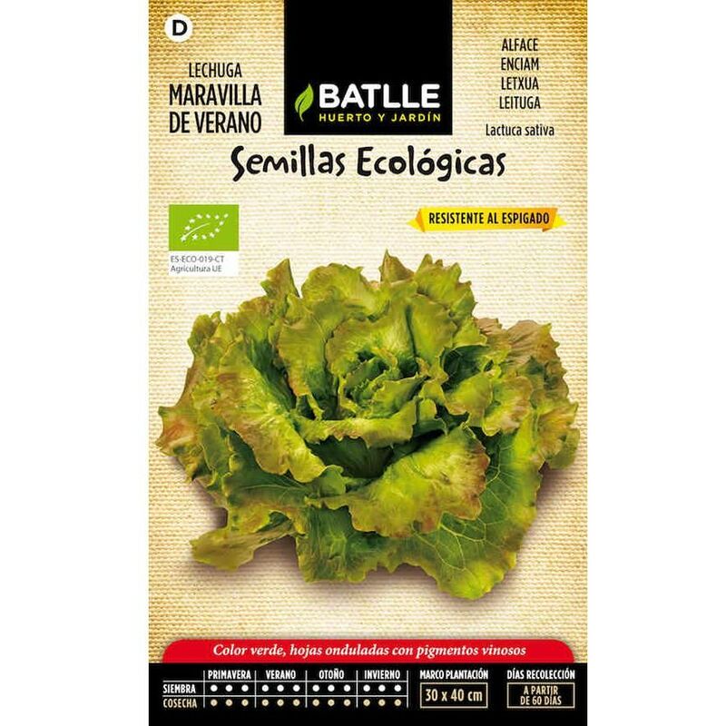 

Semillas ecológicas de Lechuga maravilla de verano