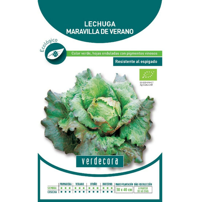 

SEMILLAS ECOLOGICAS LECHUGA MARAVILLA DE VERANO - Verdecora