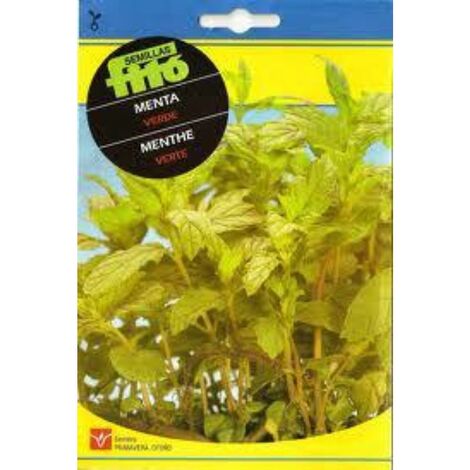 SEMILLAS FITO AROMATICAS MENTA VERDE=00653