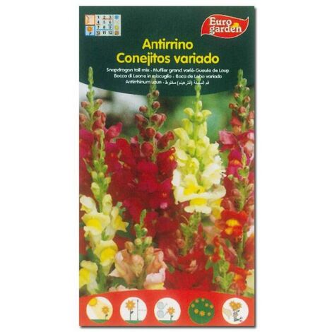 SEMILLAS FITO FLORES ANTIRRINO CONEJITOS VARIADOS=00505