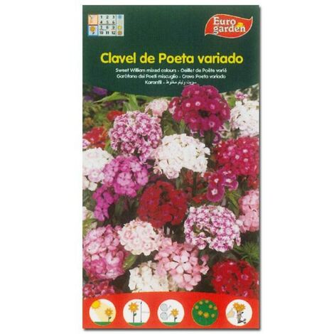 SEMILLAS FITO FLORES CLAVEL DE POETA VARIADO=00544