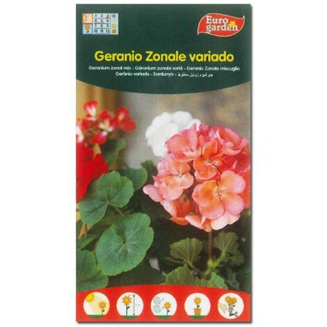 SEMILLAS FITO FLORES GERANIO ZONALE VARIADO=00619