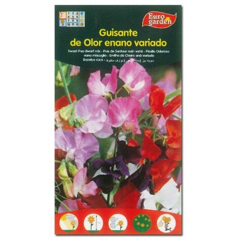 SEMILLAS FITO FLORES GUISANTE DE OLOR ENANO VARIADO=00651