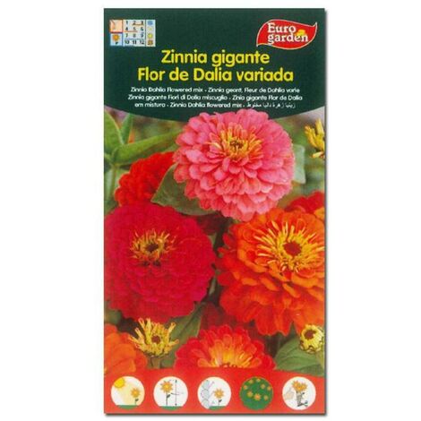 SEMILLAS FITO FLORES ZINNIA GIGANTE FLOR DE DALIA VARIADA=00607