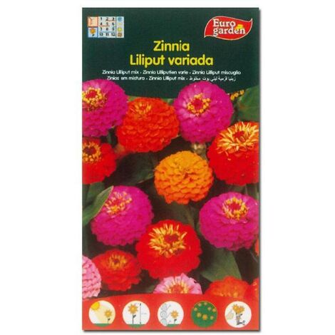 semillas fito flores zinnia liliput variada 00608 (caja 10 unidades)