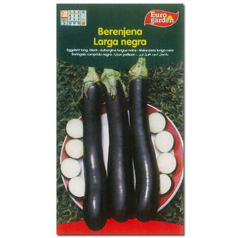 SEMILLAS FITO HORTICOLAS BERENJENA LARGA NEGRA=00013