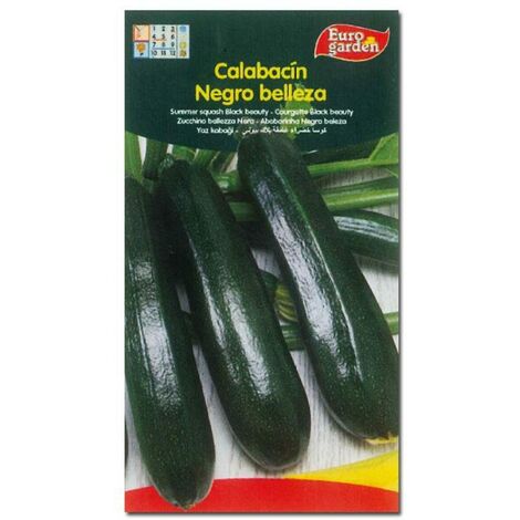 SEMILLAS FITO HORTICOLAS CALABACIN NEGRO BELLEZA=00030