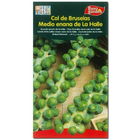 semillas fito horticolas col bruselas 1-2 enana dela halle 00056 (caja 10 unidades)