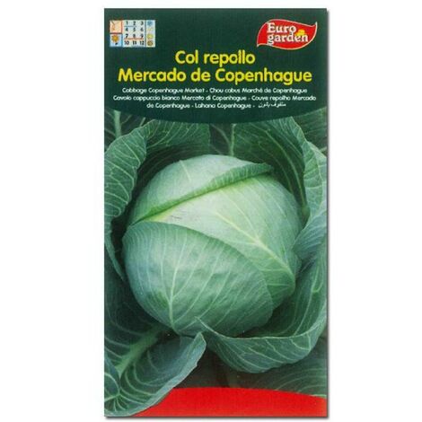 SEMILLAS FITO HORTICOLAS COL REPOLLO MERCADO DE COPENHAGUE=04556