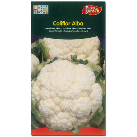 semillas fito horticolas coliflor alba 00087 (caja 10 unidades)