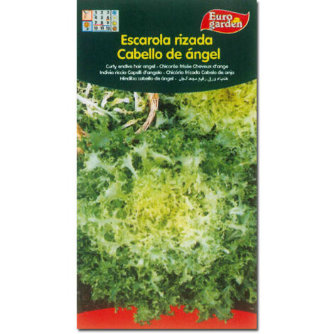 SEMILLAS FITO HORTICOLAS ESCAROLA CABELLO DE ANGEL=00109