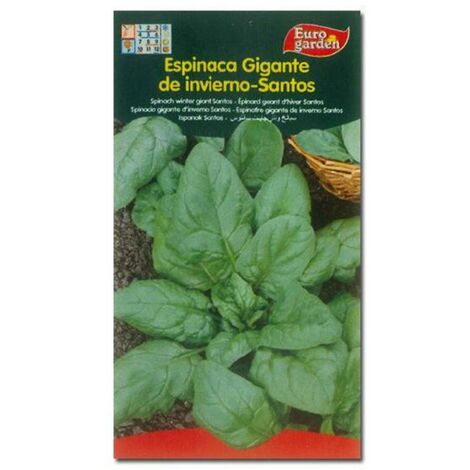 SEMILLAS FITO HORTICOLAS ESPINACA G. INVIERNO SANTOS=00114