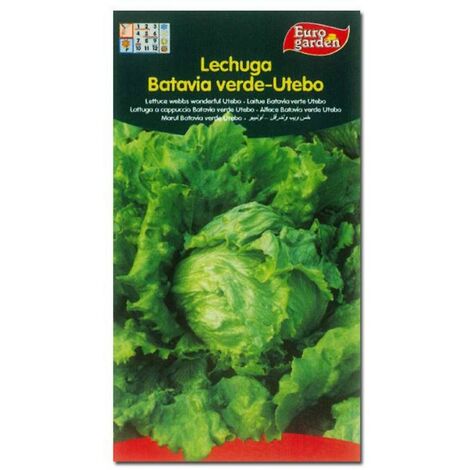 SEMILLAS FITO HORTICOLAS LECHUGA BAT. VERDE UTEBO=00207