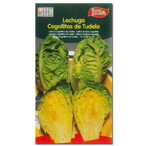 SEMILLAS FITO HORTICOLAS LECHUGA  COGOLLITOS DE TUDELA=02003