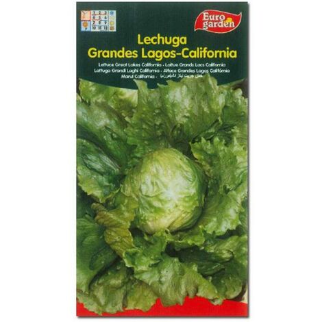 SEMILLAS FITO HORTICOLAS LECHUGA  G. LAGOS CALIFORNIA=00209