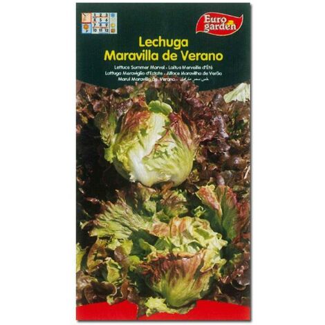 semillas fito horticolas lechuga maravilla de verano 00208 (caja 10 unidades)
