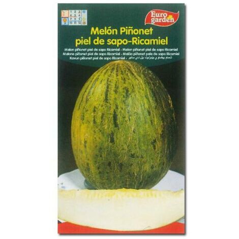 SEMILLAS FITO HORTICOLAS MELON RICAMIELPIÑONET PIEL SAPO=00217
