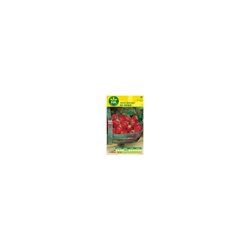 

Semillas Fresas Del Bosque Sobre