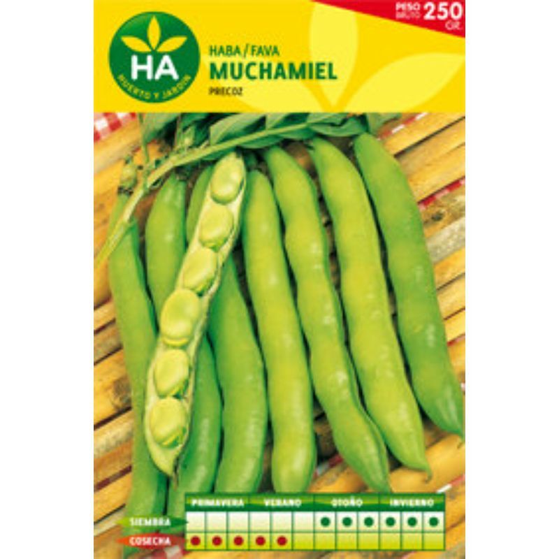 

Semillas Haba Muchamiel 250Gr
