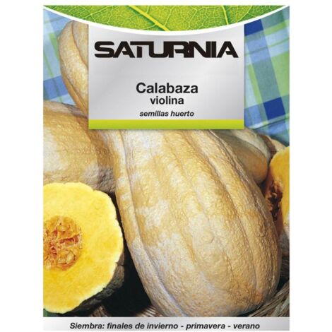Semillas Huerto Calabaza Violina