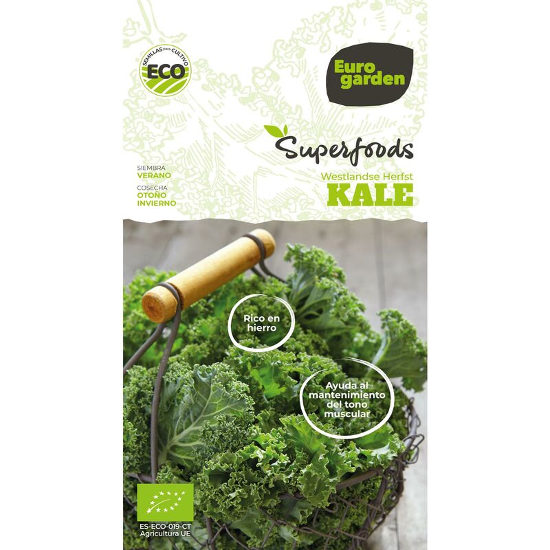 

Semillas Kale Westlande Herfst Vitalfoods