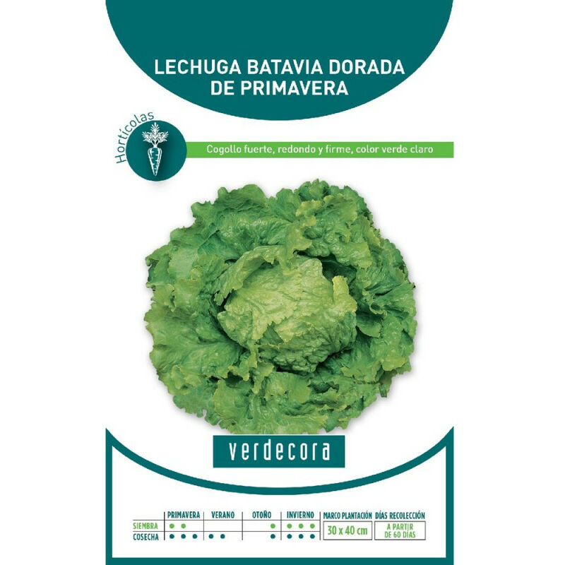 

SEMILLAS LECHUGA BATAVIA DORADA PRIMAVERA - Verdecora