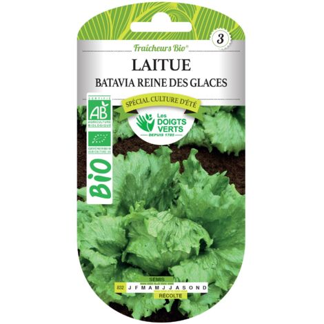 Semillas lechuga batavia reina de las nieves BIO Los Dedos Verdes