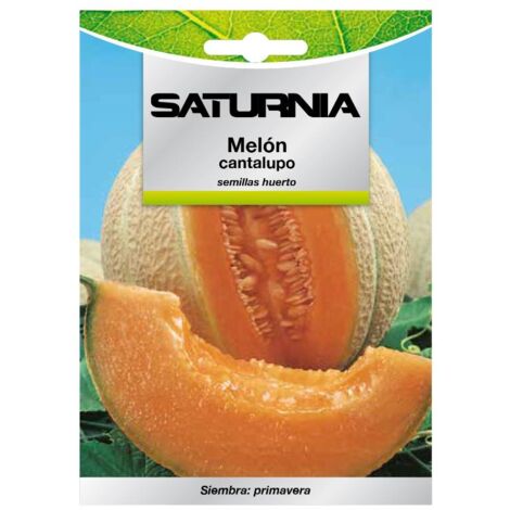 Semillas Melon Cantalupo (3 gramos) Semillas Frutas, Horticultura, Horticola, Semillas Huerto.