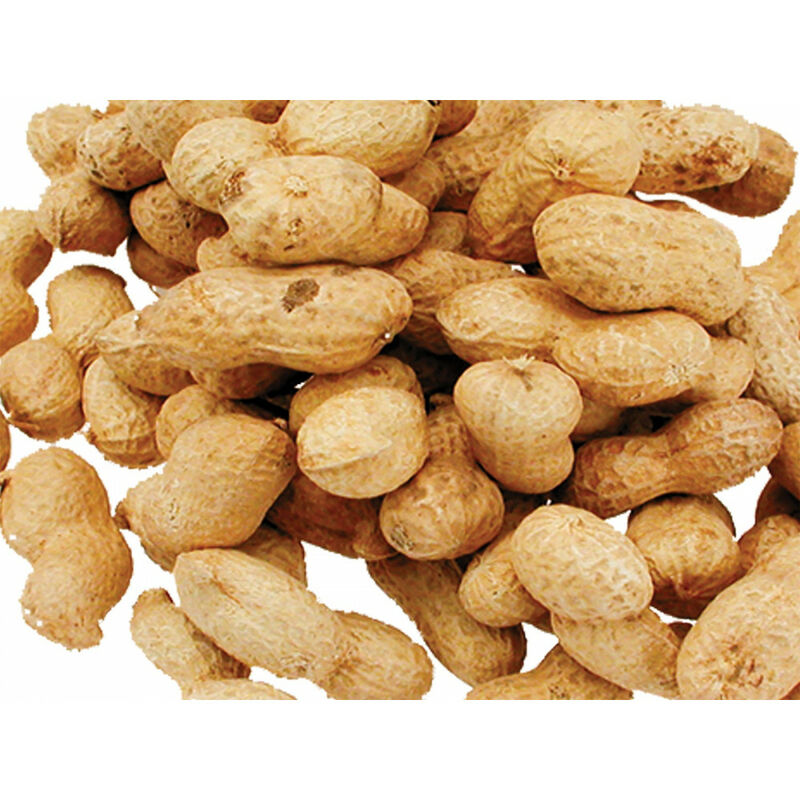 

Semillas para Aves de Cacahuete 1.300Kg