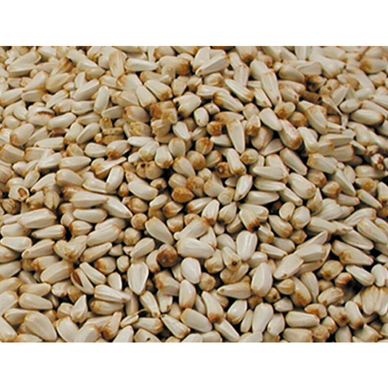 

Semillas para semillas de cardo de ave 0.8Kg